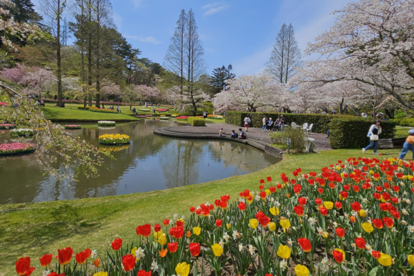 Park of flowers